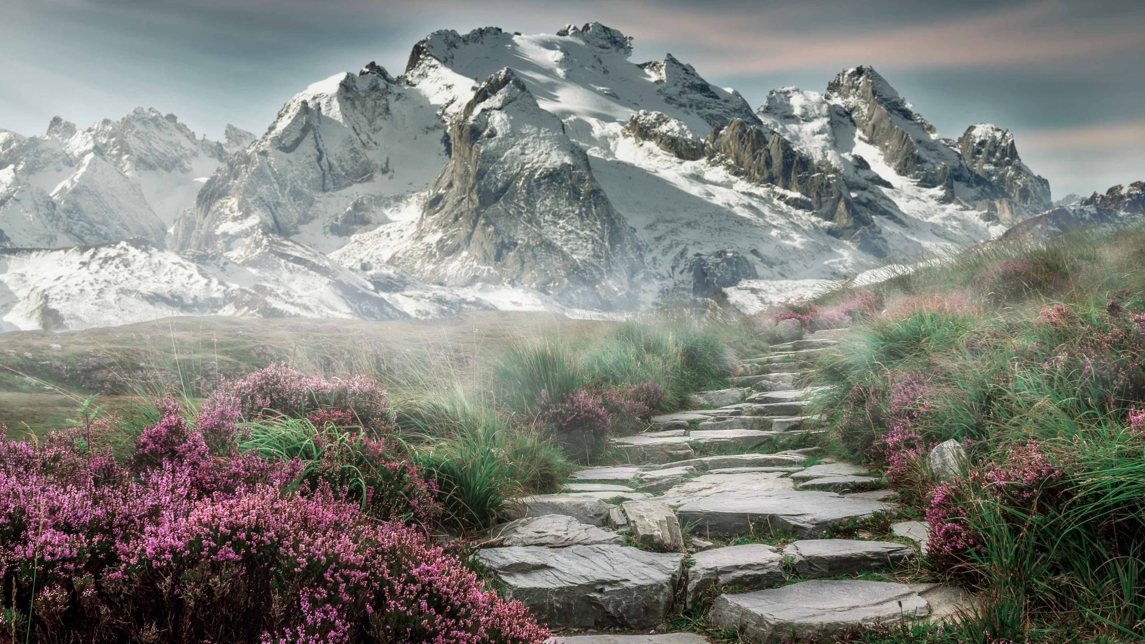 俱乐部训练基地标准化改革正式启动，俱乐部训练计划