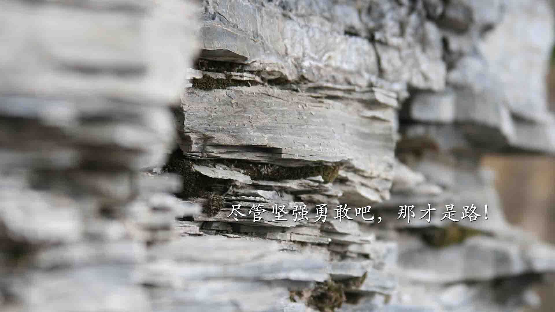 体育教学互动平台对学生学习动机的促进作用，体育平台活动