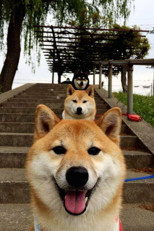 中国男篮全力冲刺赛季冠军，中国男篮全力冲刺赛季冠军是谁