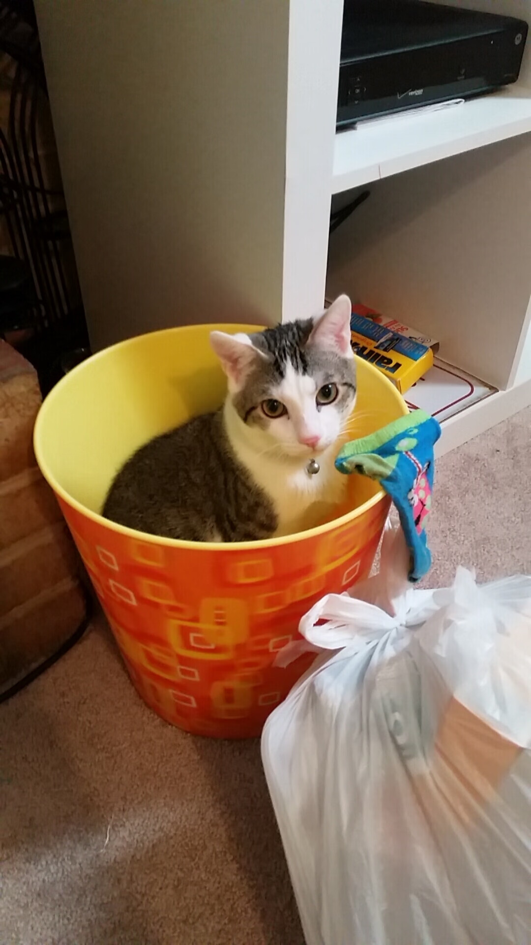 新加坡队在国际乒联混合团体世界杯中的技术精湛与配合默契,乒乓 新加坡